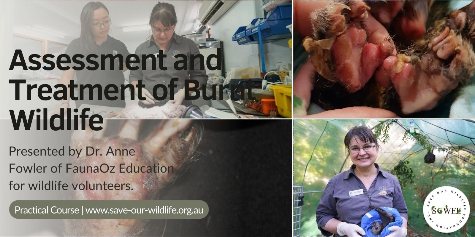 Banner image for Assessment and Treatment of Burnt Wildlife presented by Dr. Anne Fowler