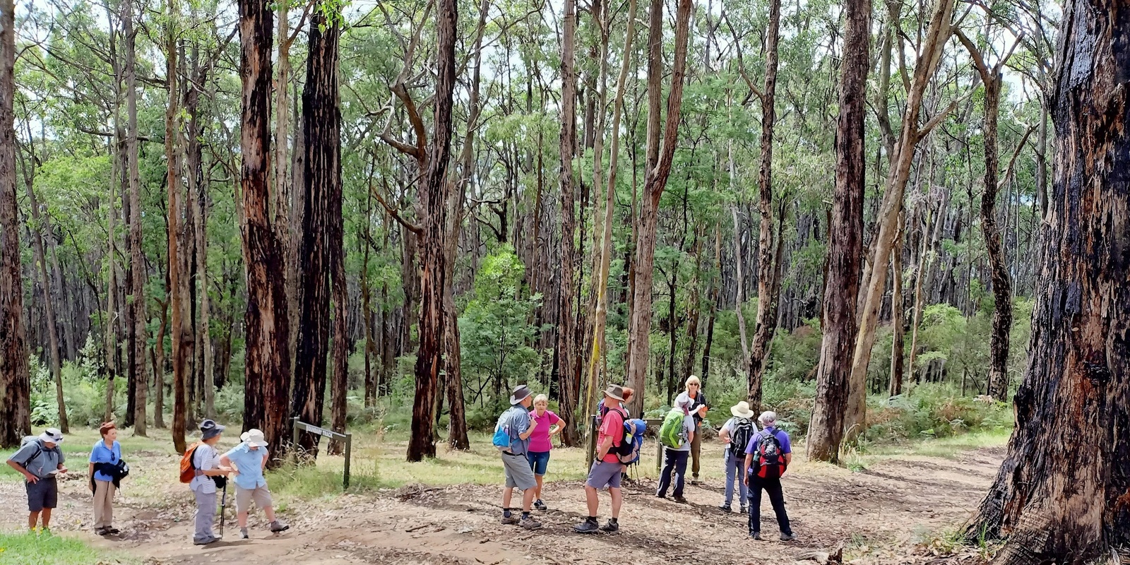 Banner image for Cockatoo to Emerald Lake - Grade 3 (medium)