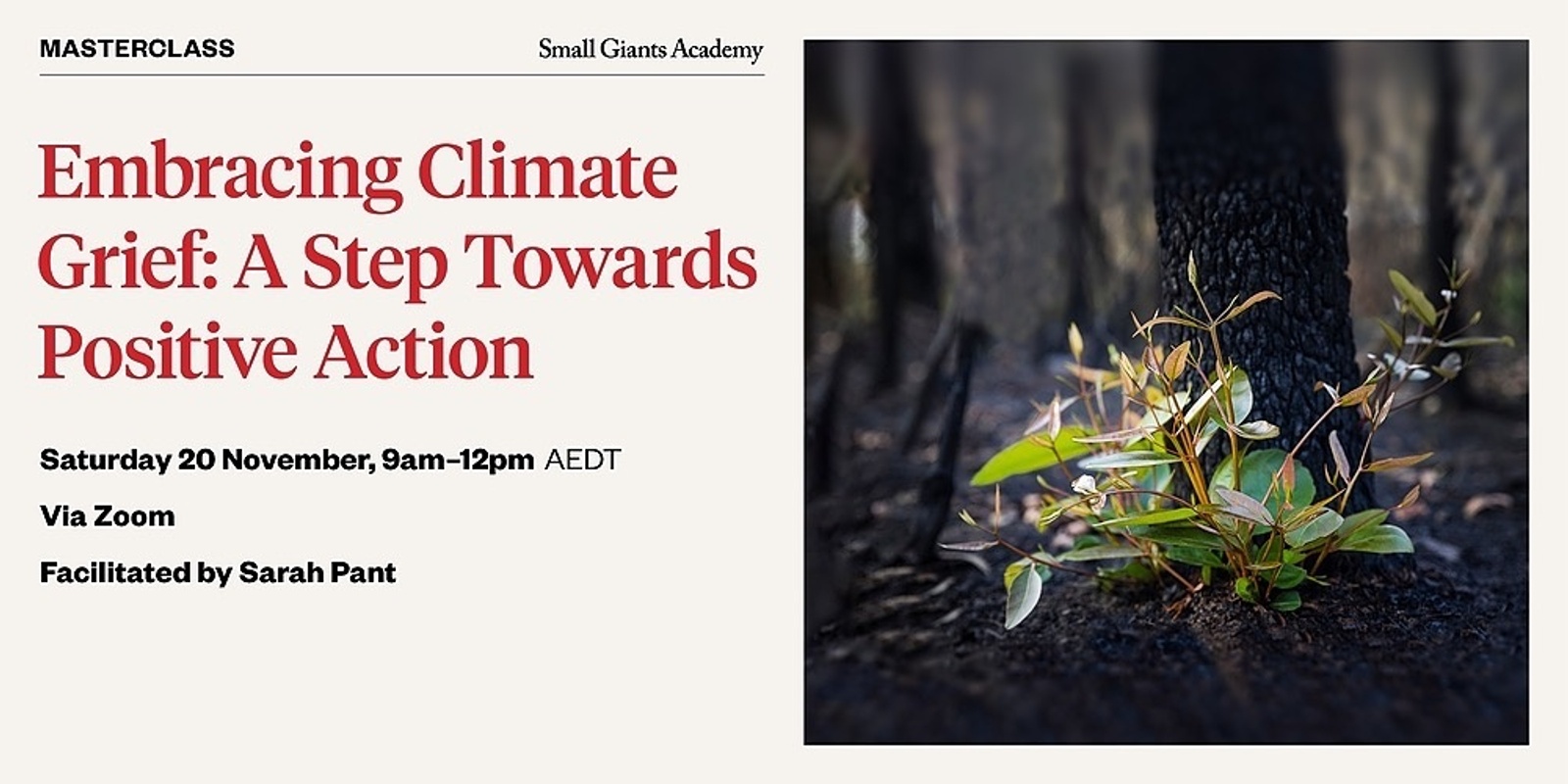 Banner image for Embracing Climate Grief: A Step Towards Positive Action