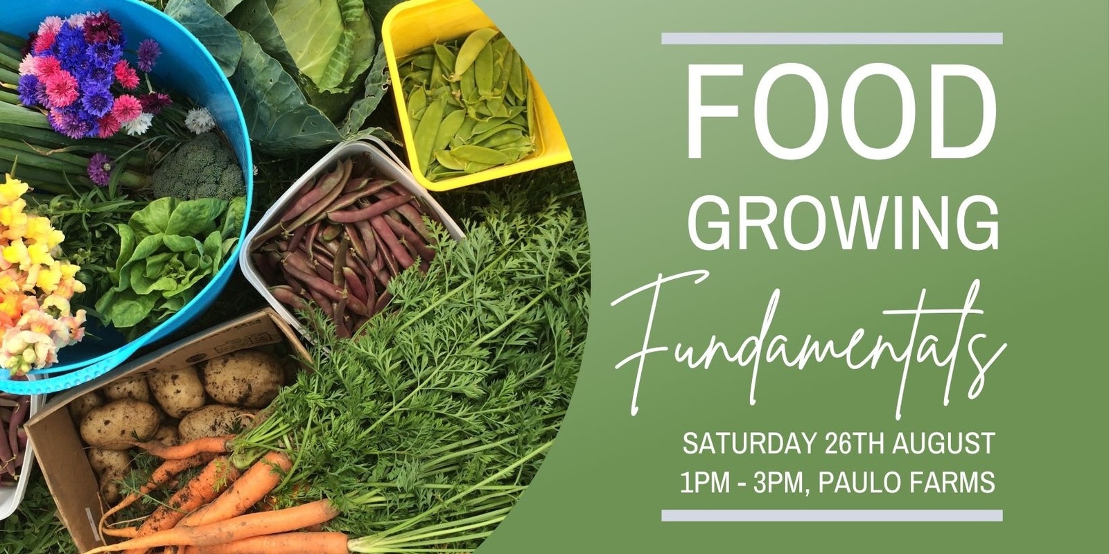 Banner image for Food Growing Fundamentals