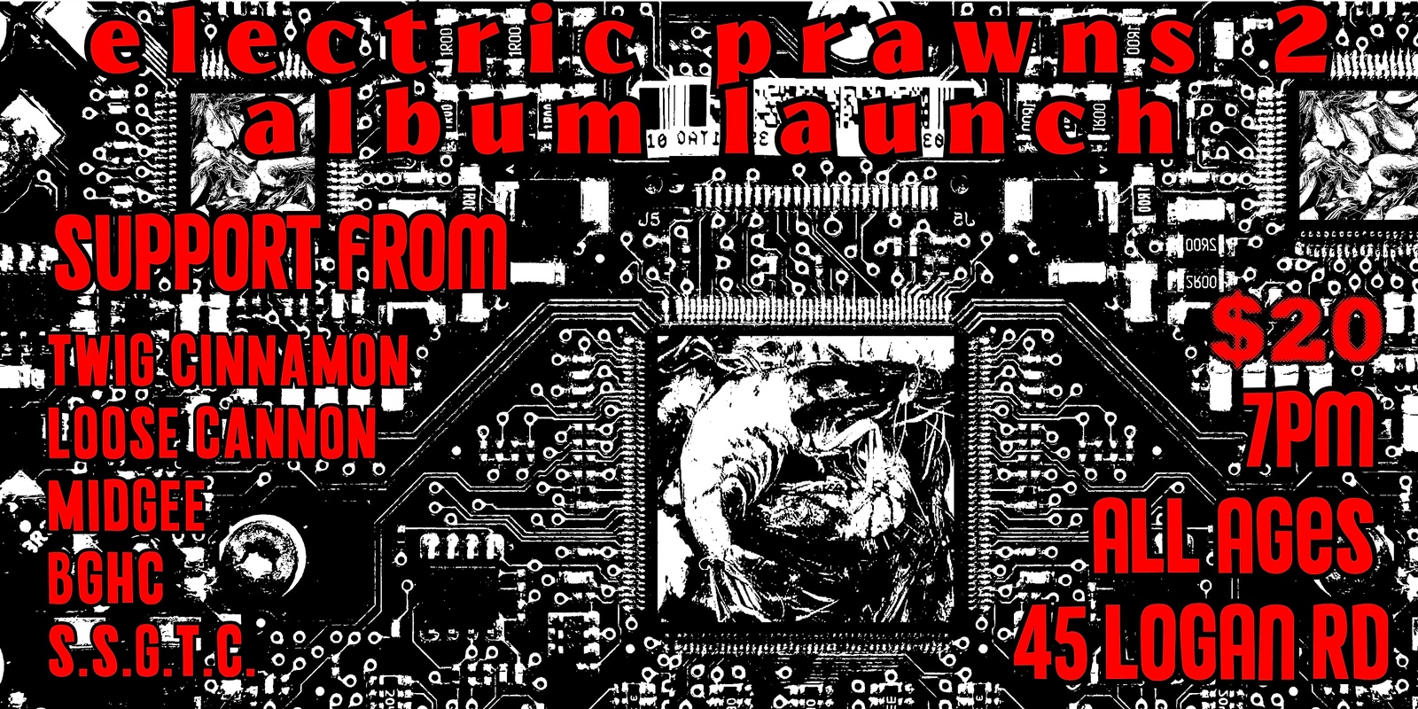 Banner image for ELECTRIC PRAWNS 2 ALBUM LAUNCH