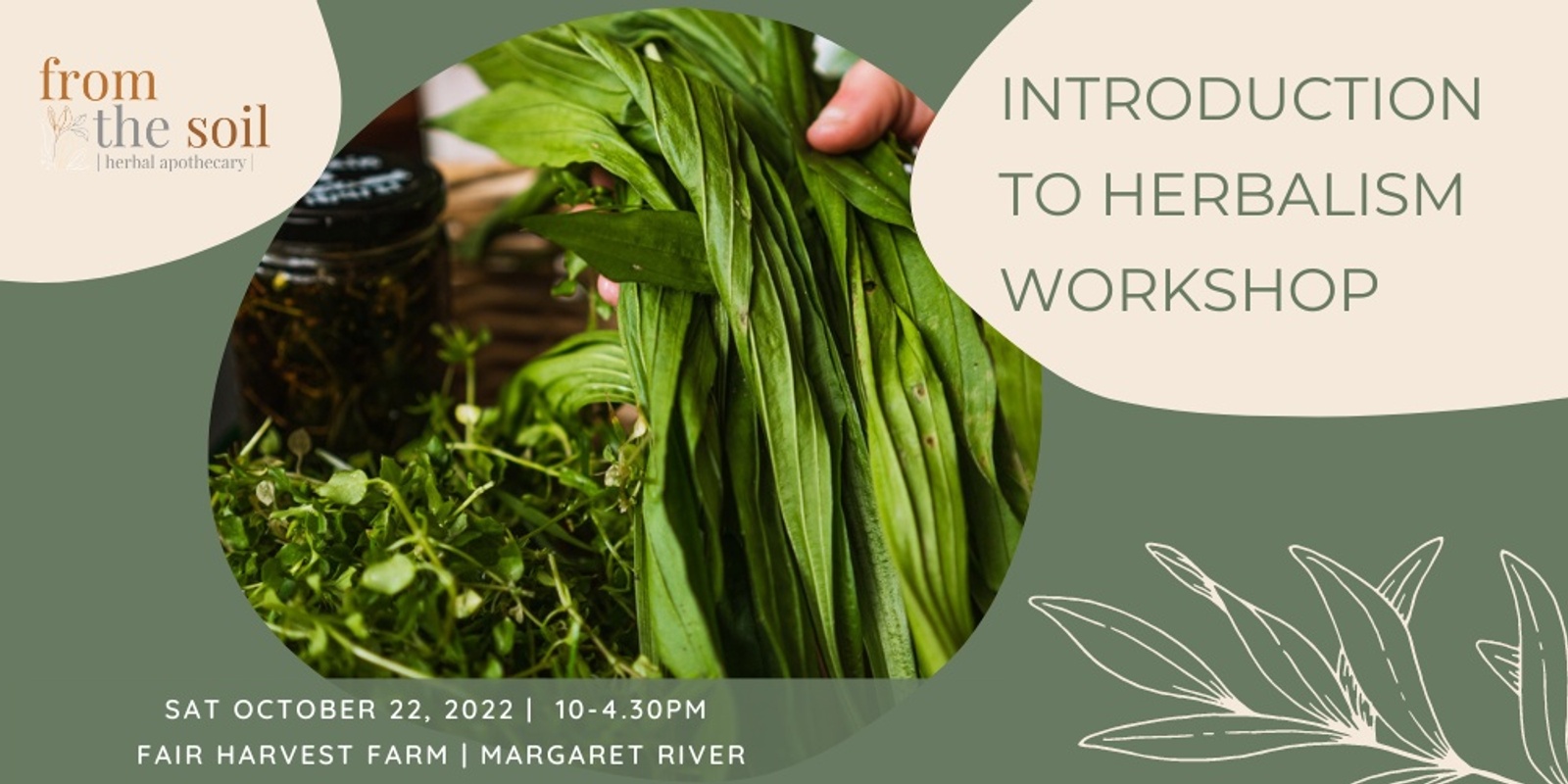 Banner image for Introduction to Herbalism Workshop October