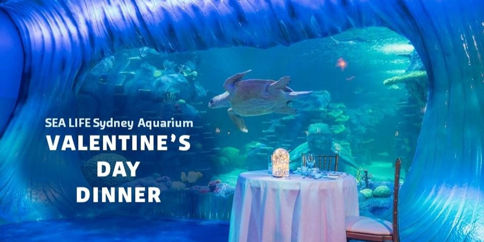 Banner image for Valentine's Day - SEA LIFE Sydney Aquarium