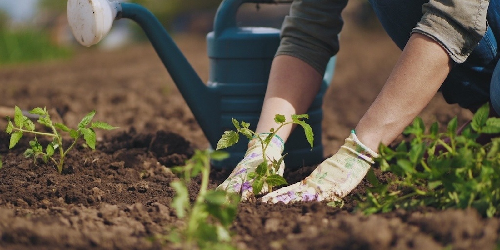 Banner image for Farmer Incubator's Introduction to Soils Workshop at Bundoora Park Farm