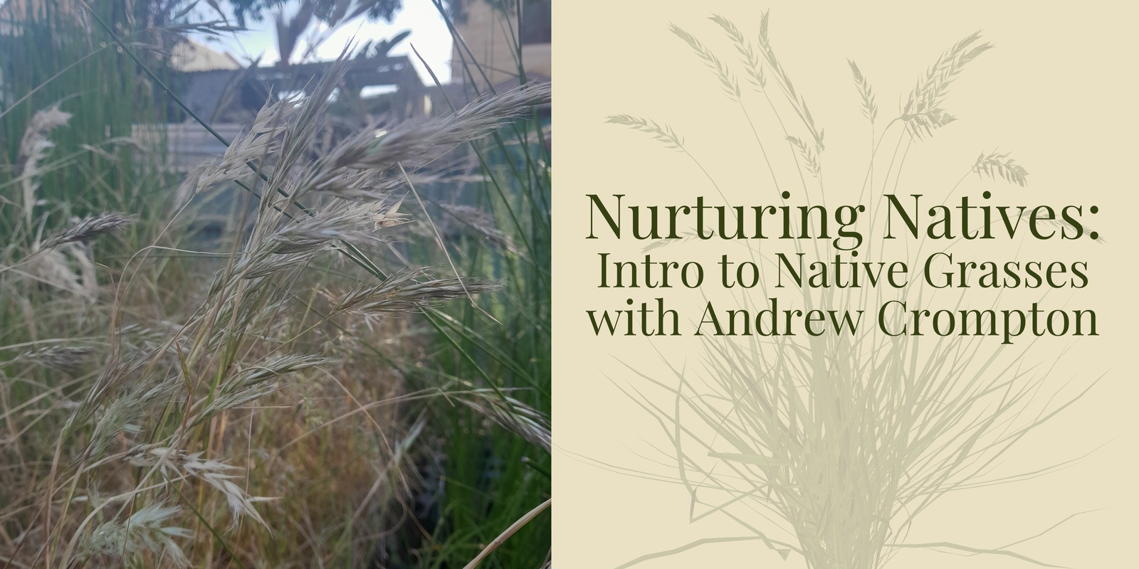 Banner image for Nurturing Natives: Introduction to Native Grasses with Andrew Crompton