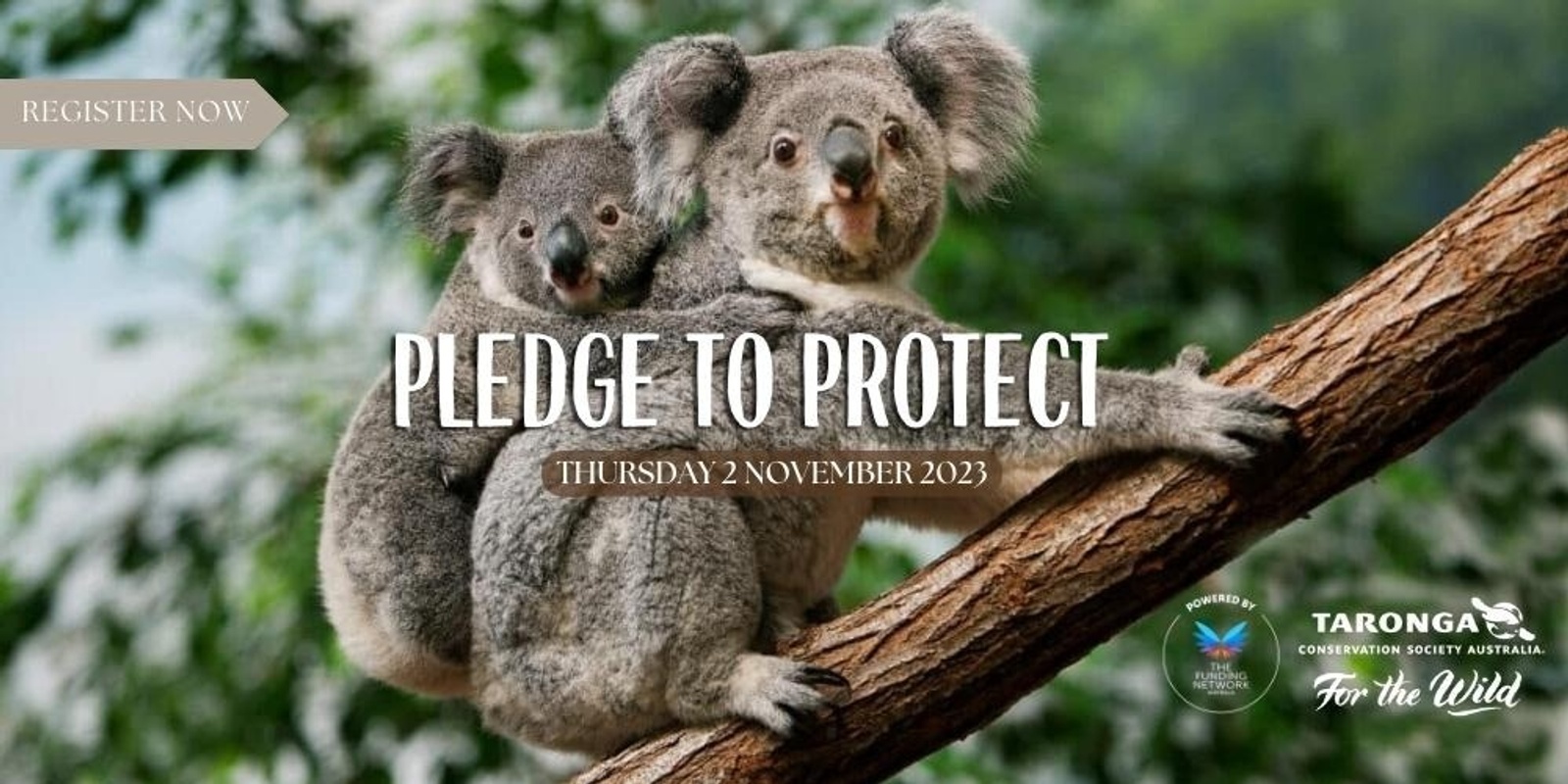Banner image for Pledge to Protect 