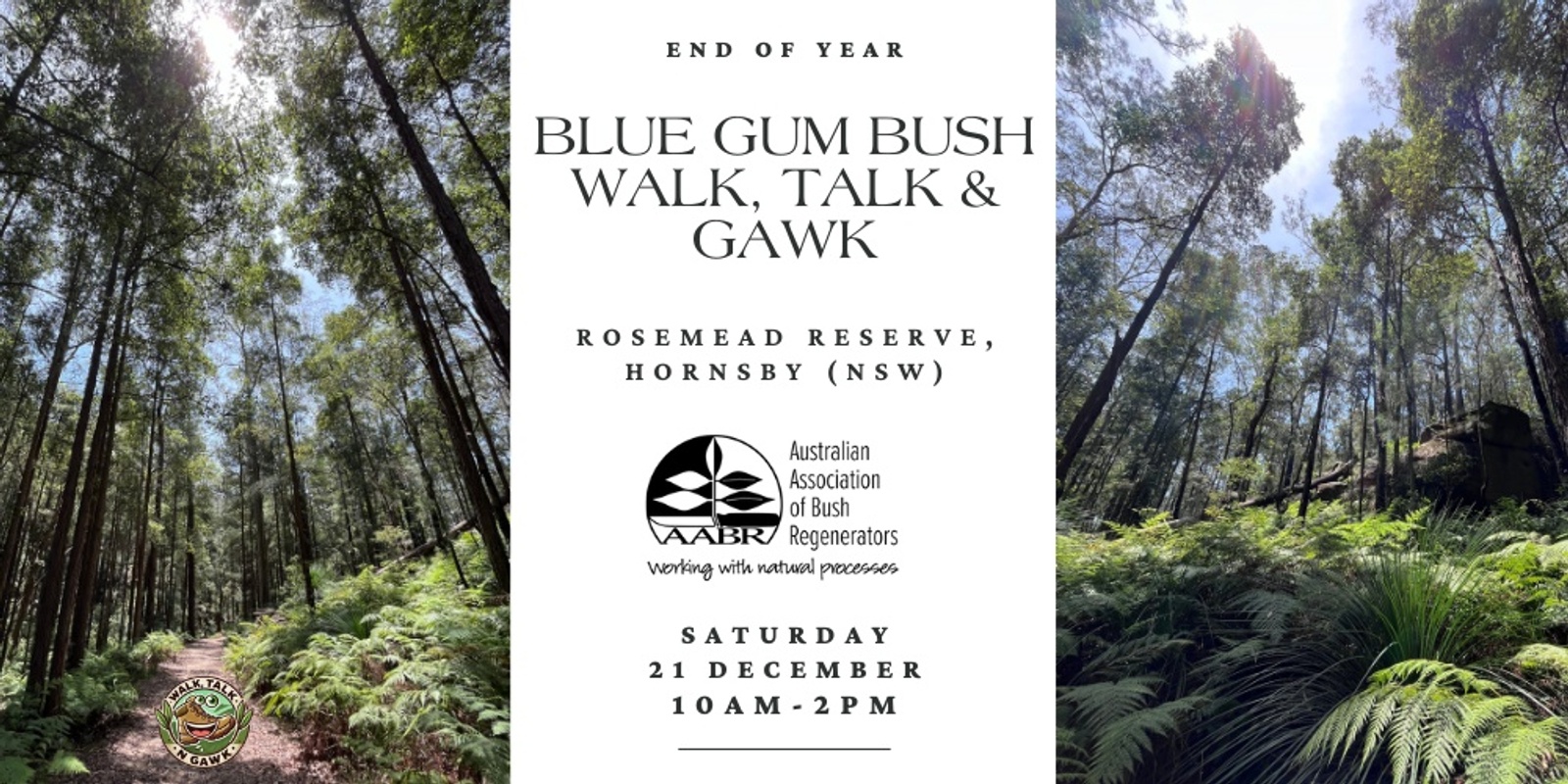 Banner image for AABR End of Year Blue Gum Bush Walk, Talk & Gawk