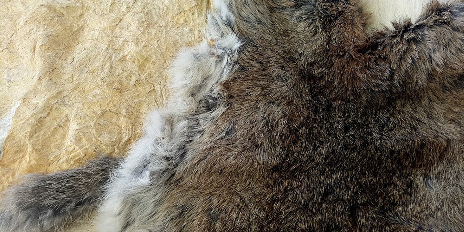 Banner image for Traditional Rabbit Pelt Tanning Workshop with Ei Yang
