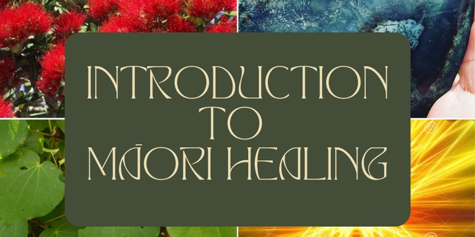 Banner image for Introduction to Māori Healing