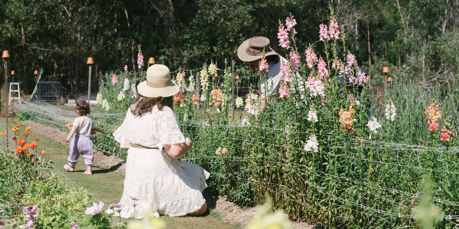 Banner image for School Holiday Flower Picking 