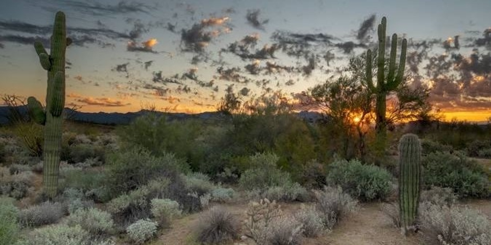 Banner image for Bhakti Yoga Camp - Devotion in the Desert March 7-9, 2025