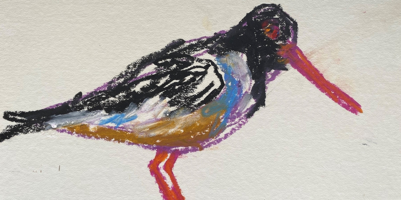 Banner image for SHOREBIRD POSTCARD ART COMPETITION AGES 7 - 12