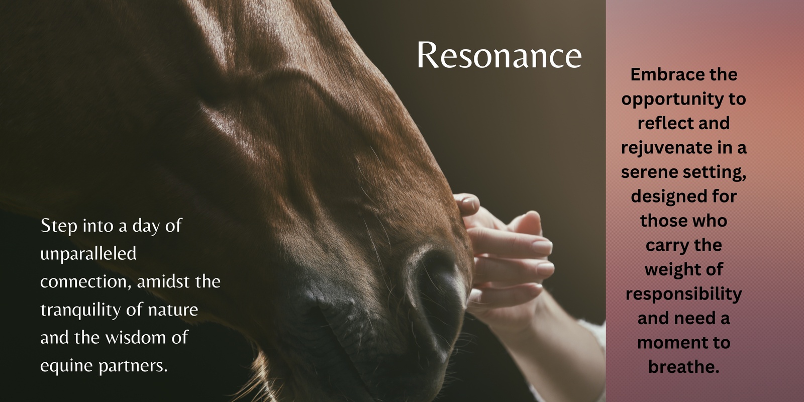 Banner image for Resonance