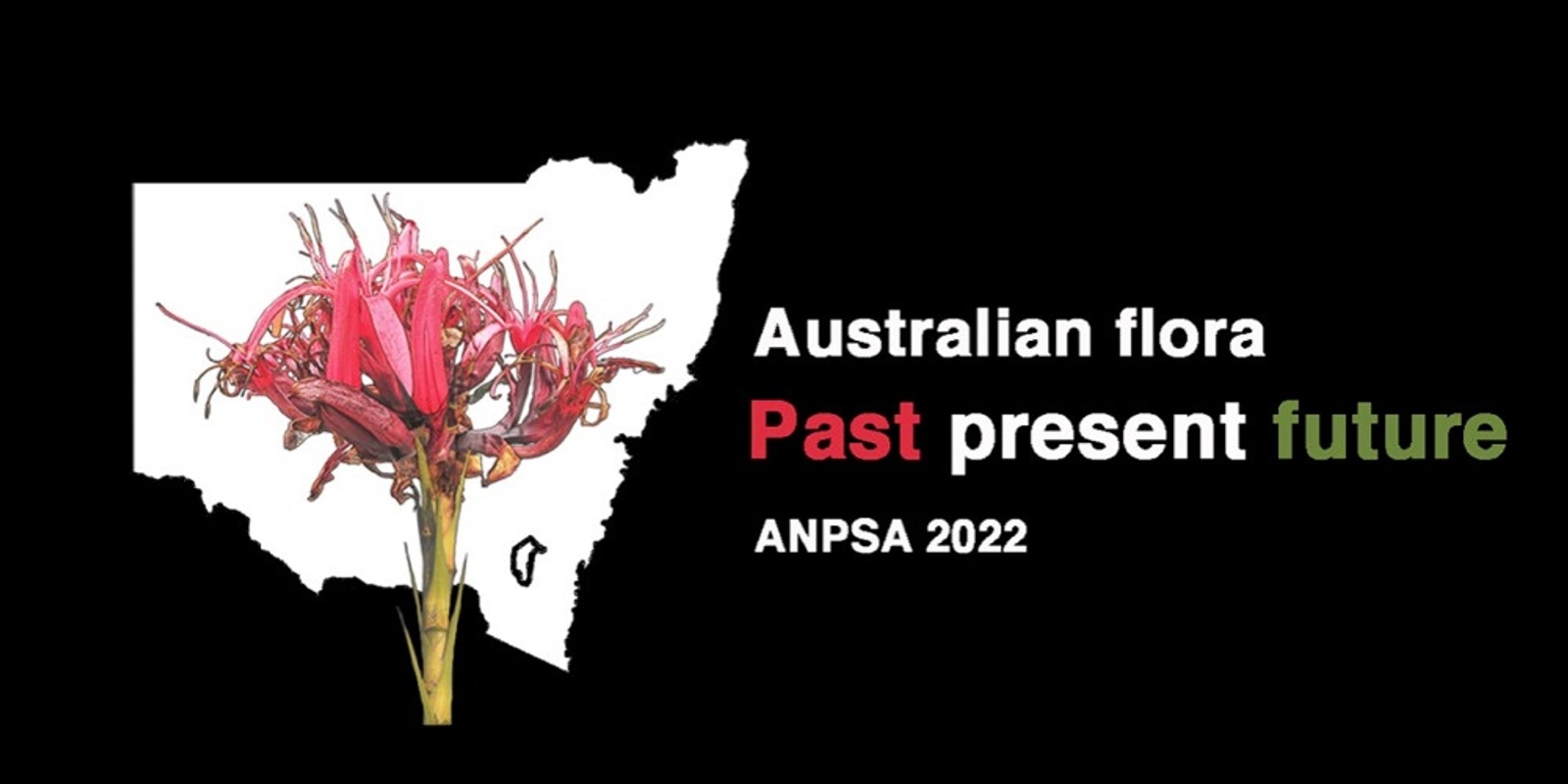Banner image for 2022 ANPSA Conference Kiama