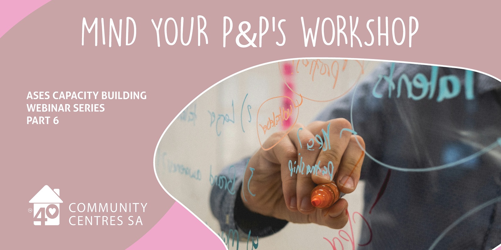 Banner image for ASES Capacity Building Webinar 6: Mind Your P&Ps