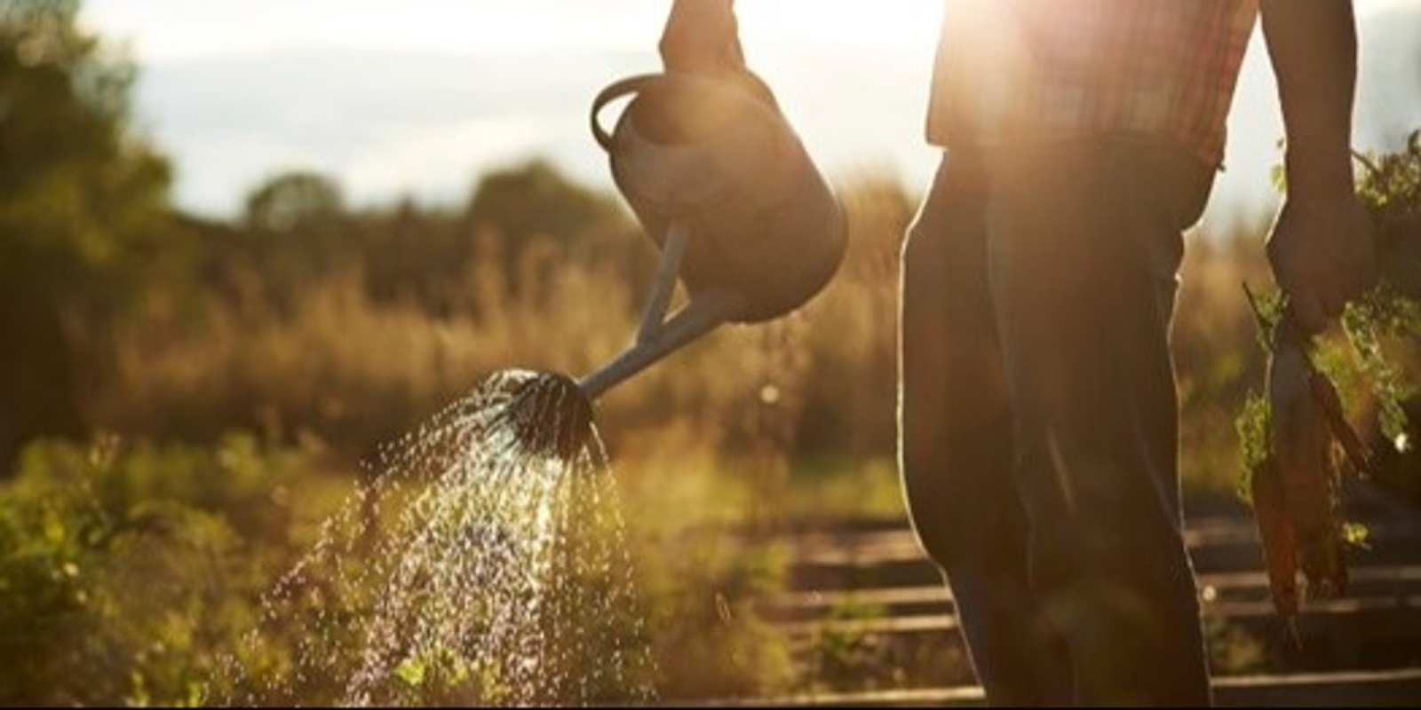 Banner image for Edible Gardening Workshop with Craig Castree