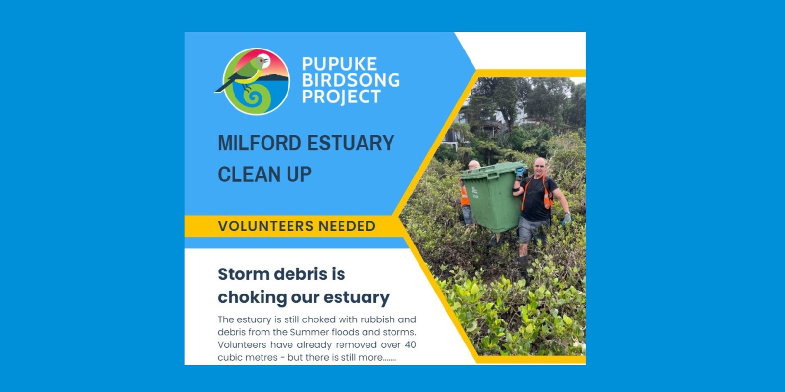 Banner image for Milford Estuary Clean up