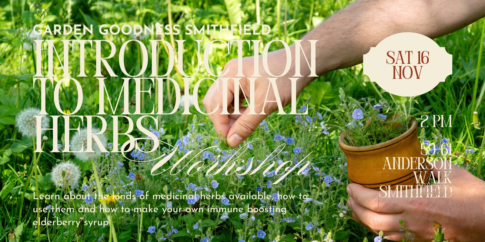 Banner image for Introduction to Medicinal Herbs