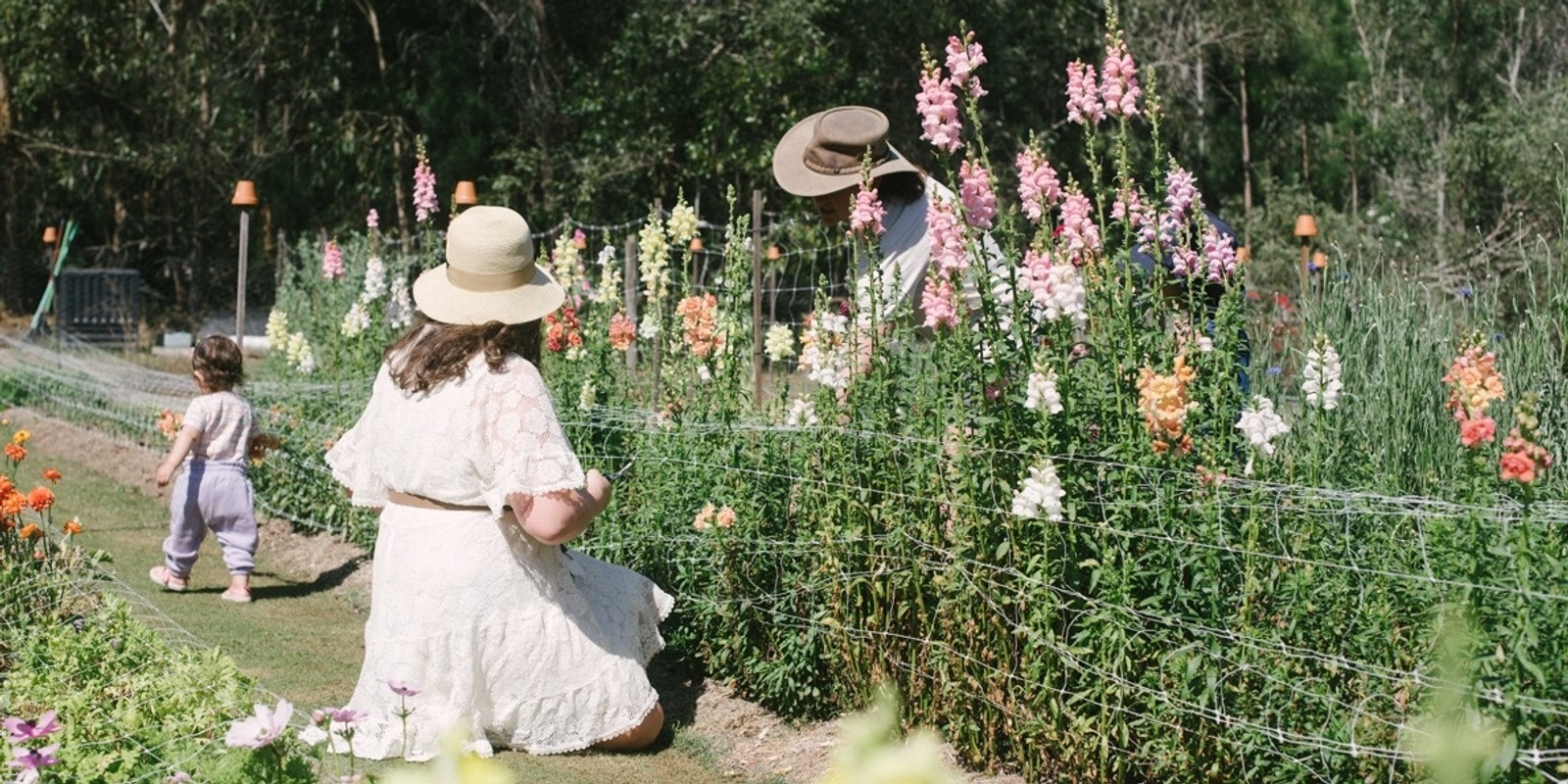 Banner image for Spring Flower Picking - Nov 23rd 