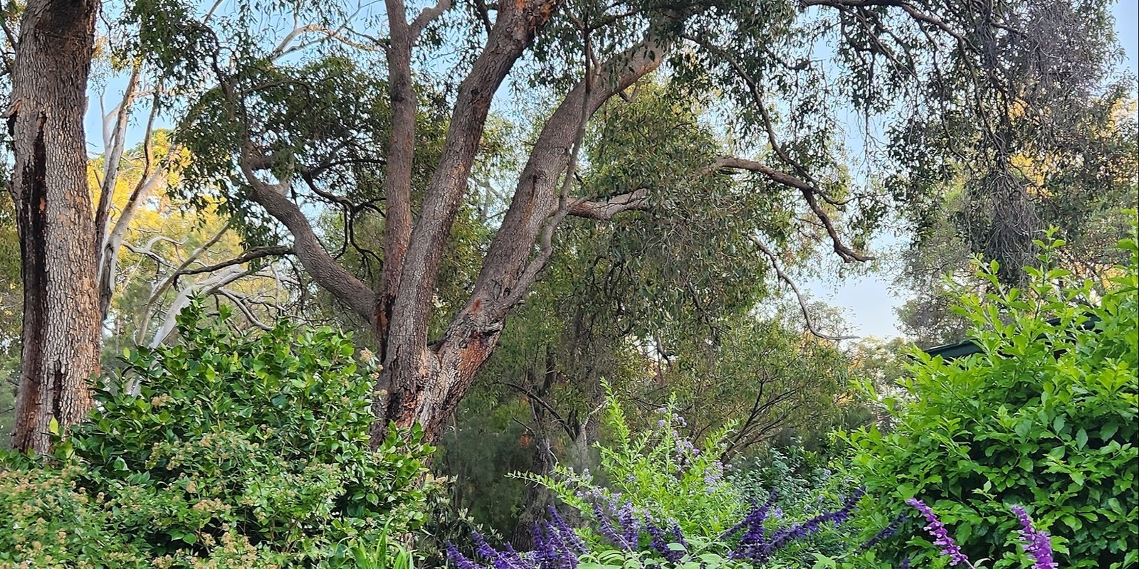 Banner image for Thinking Green: Firewise gardening in Bullsbrook