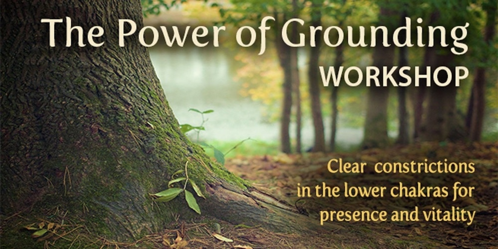 Banner image for The Power of Grounding