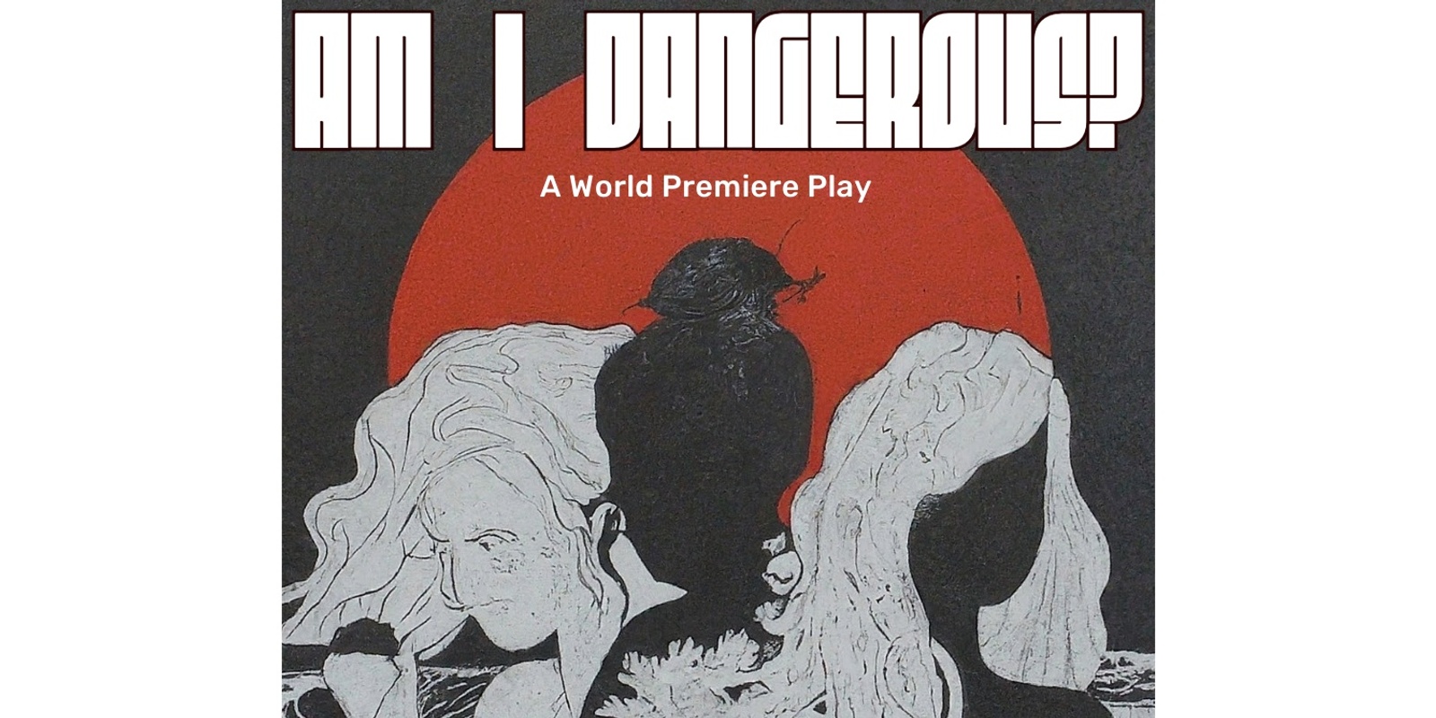 Banner image for "Am I Dangerous?" a World Premiere Play by e.k. doolin