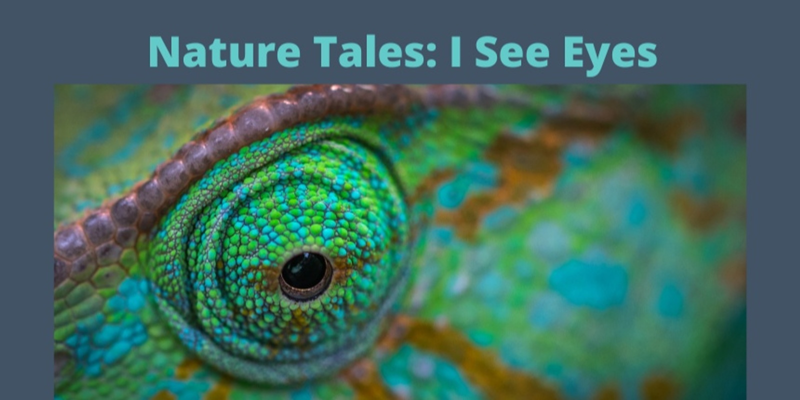 Banner image for  Nature Tales: I See Eyes