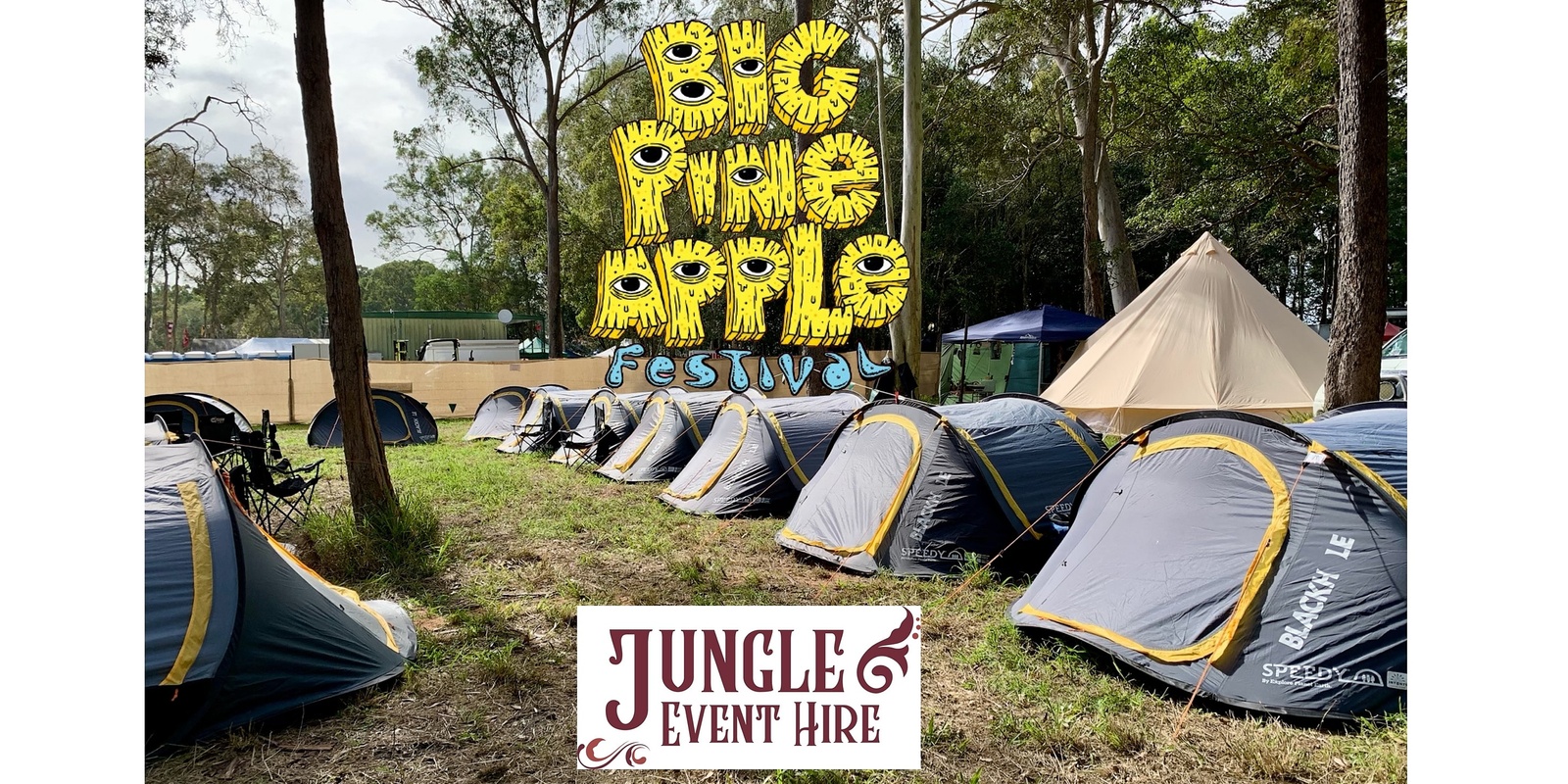 Banner image for Big Pineapple Festival Budget Accomodation