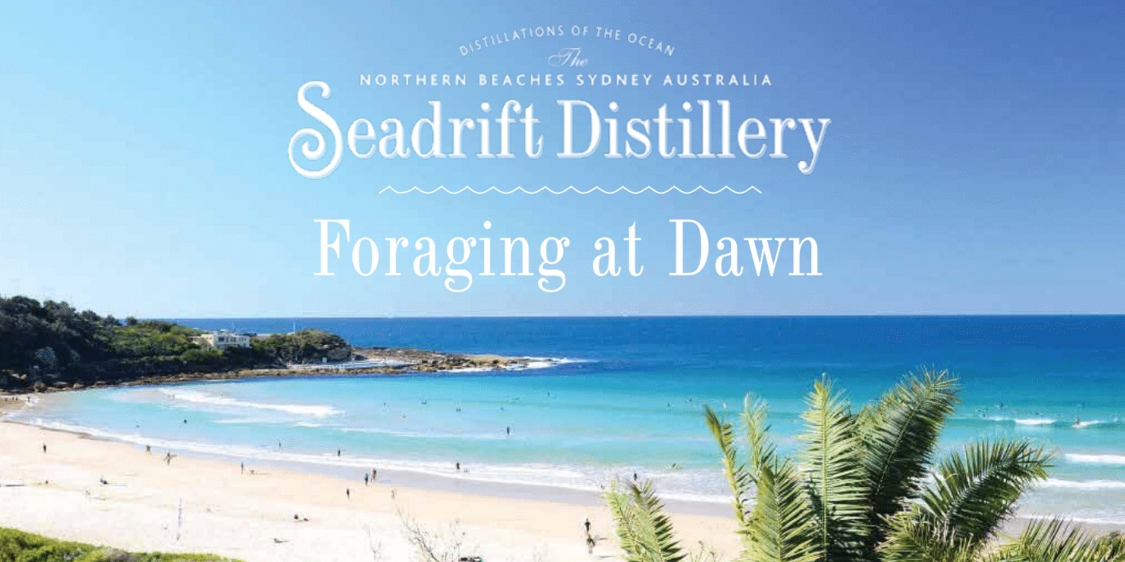 Banner image for Seadrift Distillery - Foraging at Dawn Tour