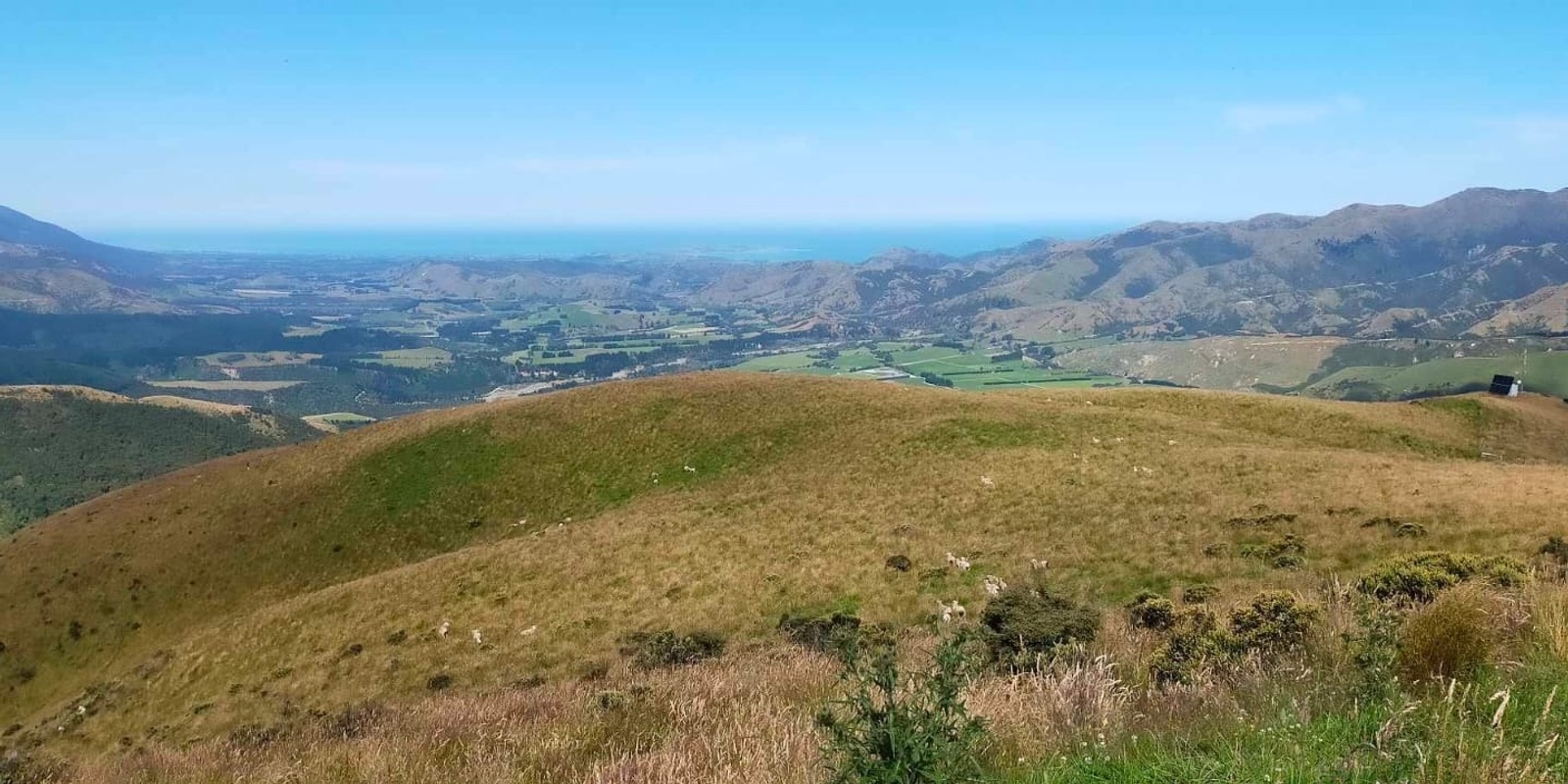 Banner image for Regenerative Farming on Hill Country-Discussion Day