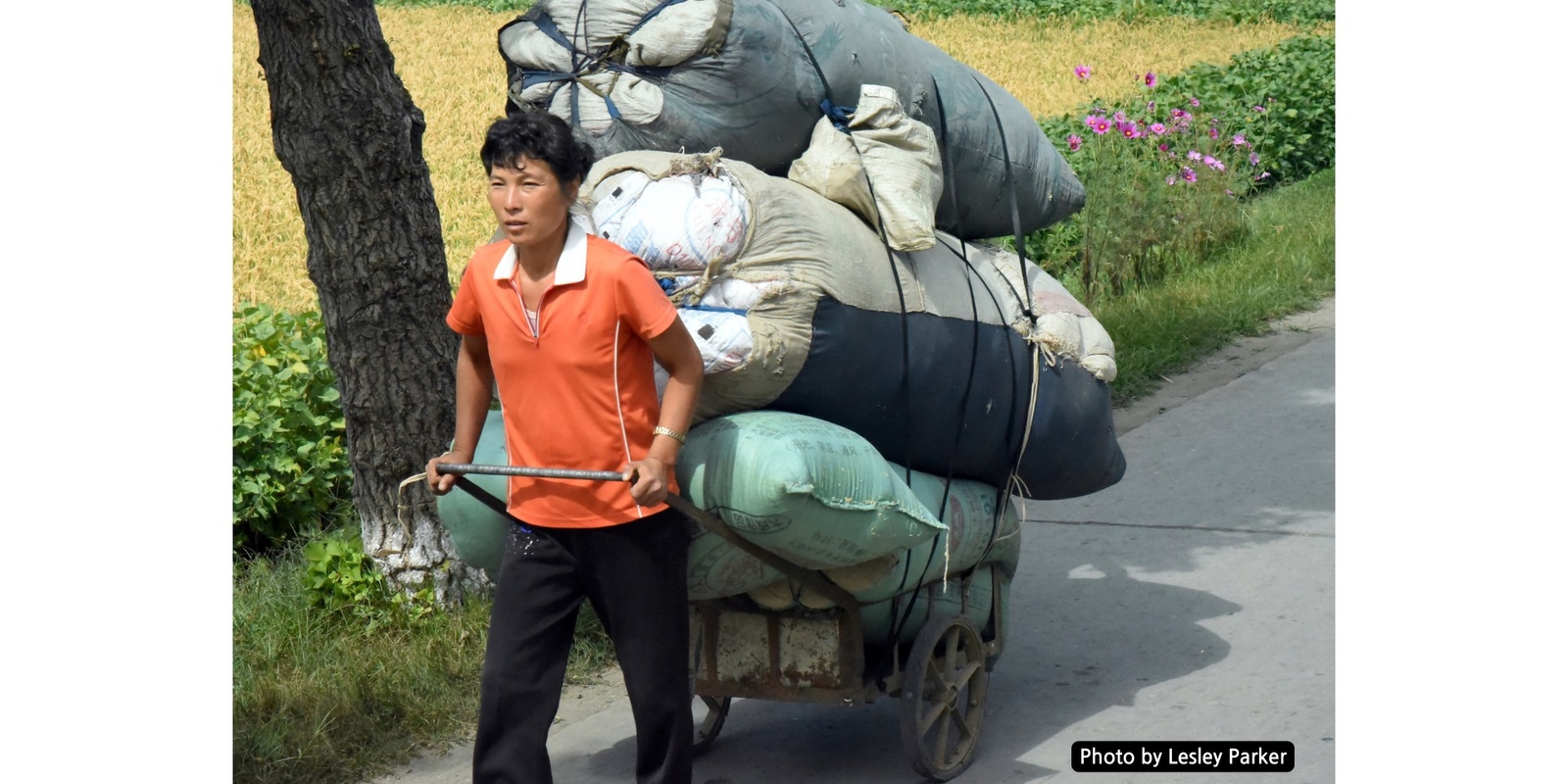 Banner image for The Women of North Korea