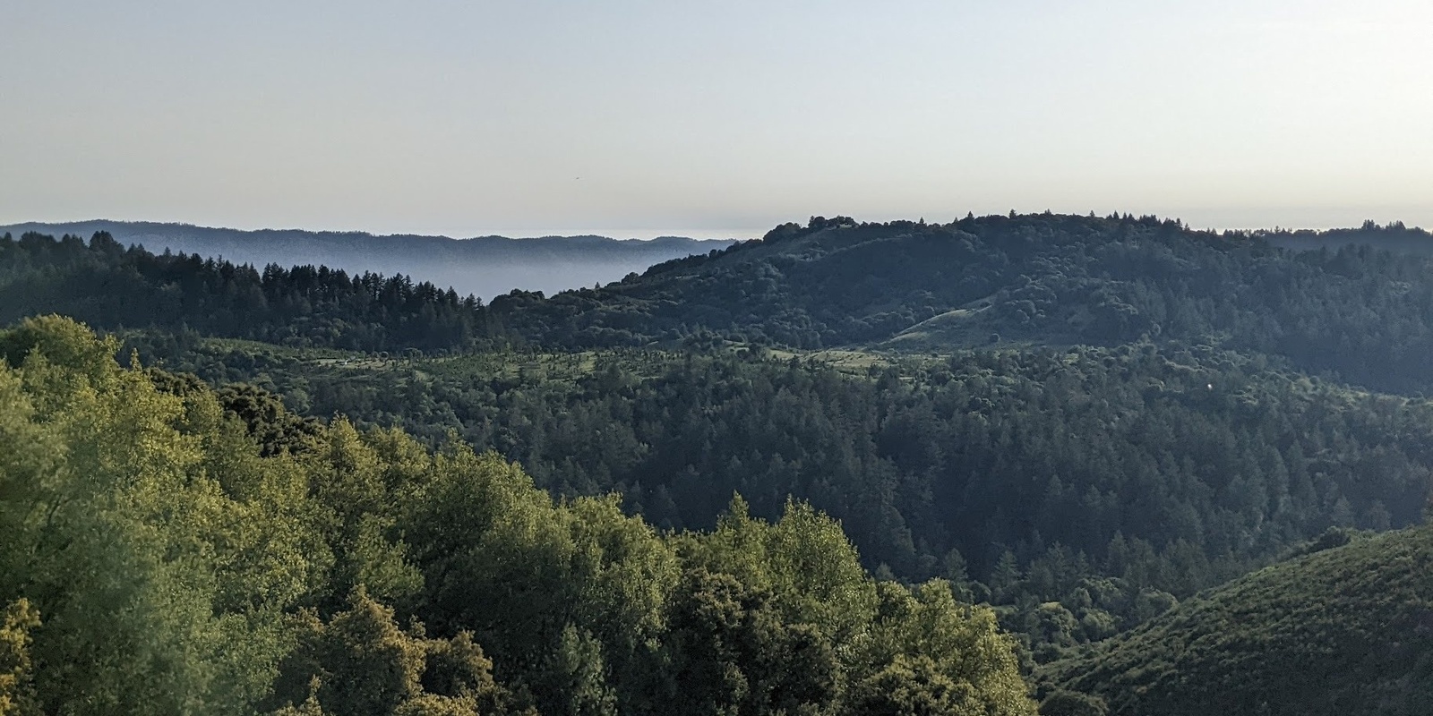 Banner image for Queer Hike - Santa Cruz Mountains