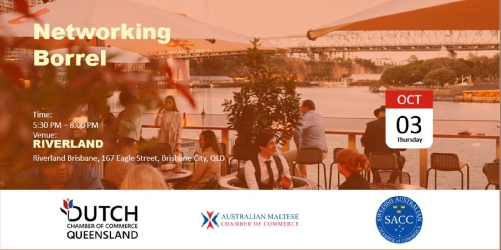 Banner image for Business Networking Borrel