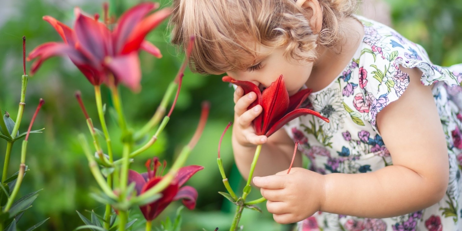 Banner image for Nature Playgroup Summer Sessions 2024 @ CERES, Brunswick East