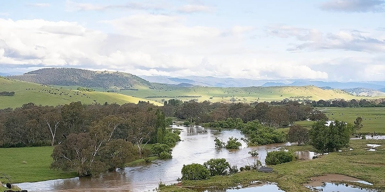 Banner image for Future of the Upper Murray Launch