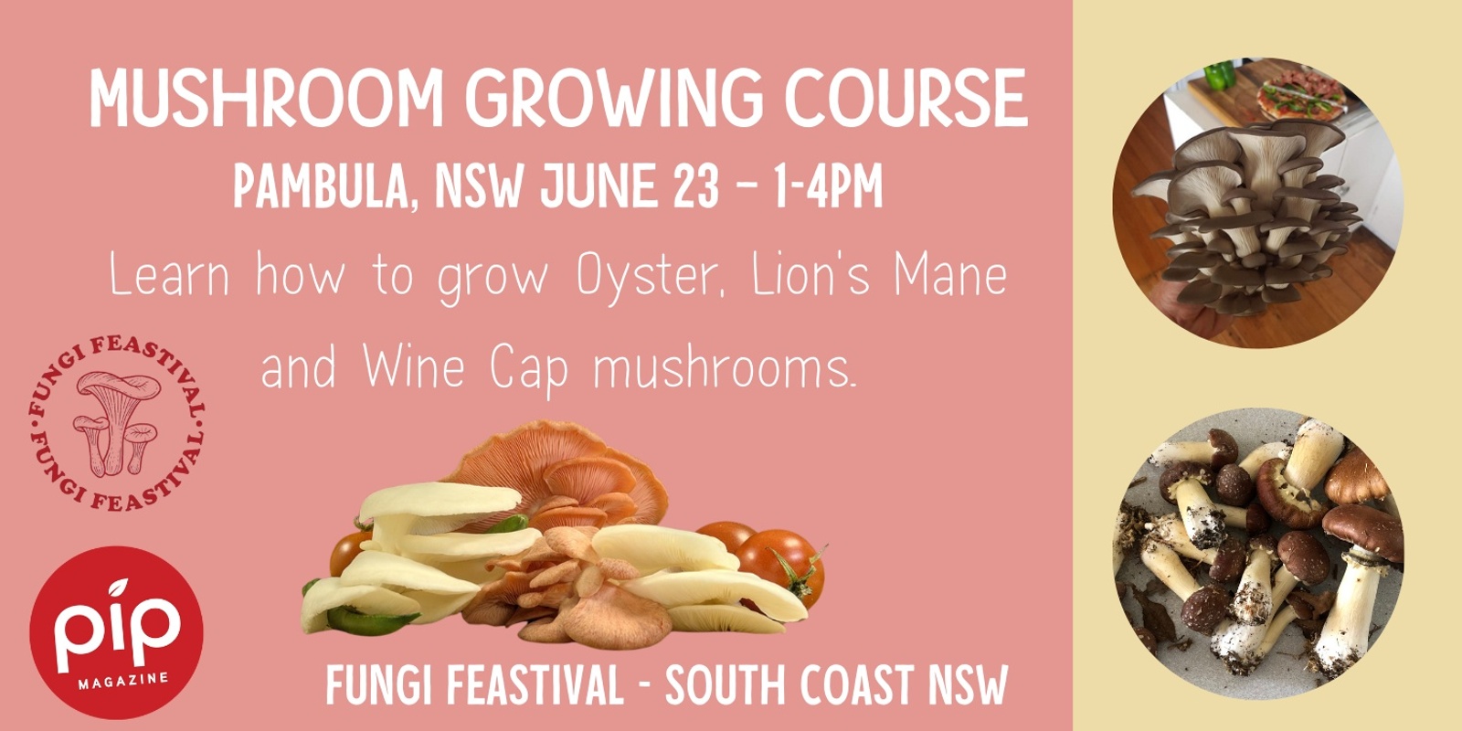 Banner image for Fungi Feastival Mushroom Growing Workshop