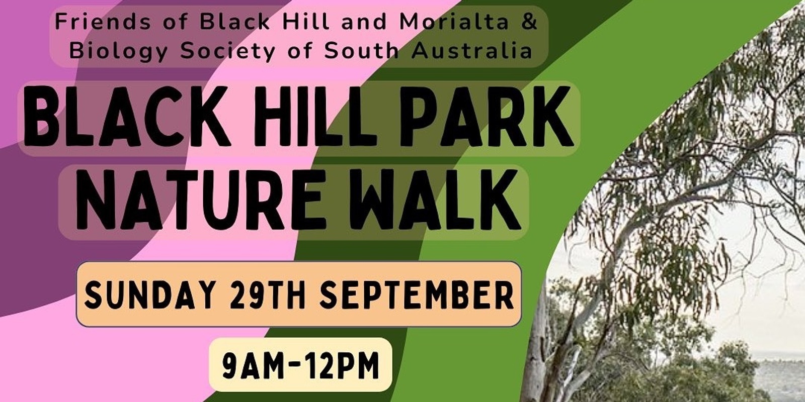 Banner image for Black Hill Park Nature Walk