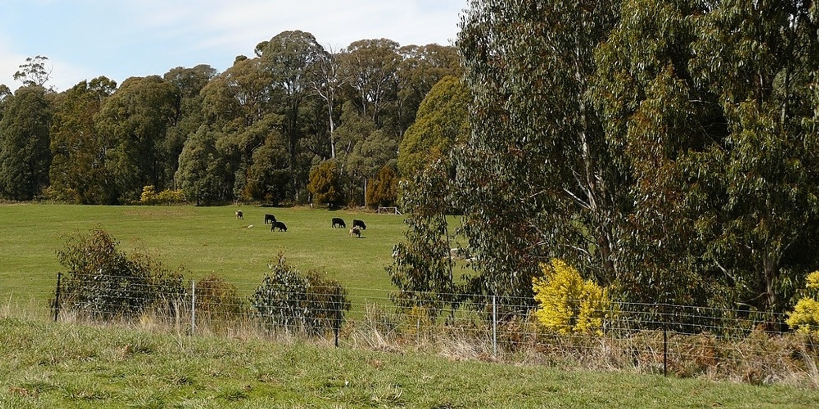 Banner image for Shelter Your Farm: for productivity and biodiversity