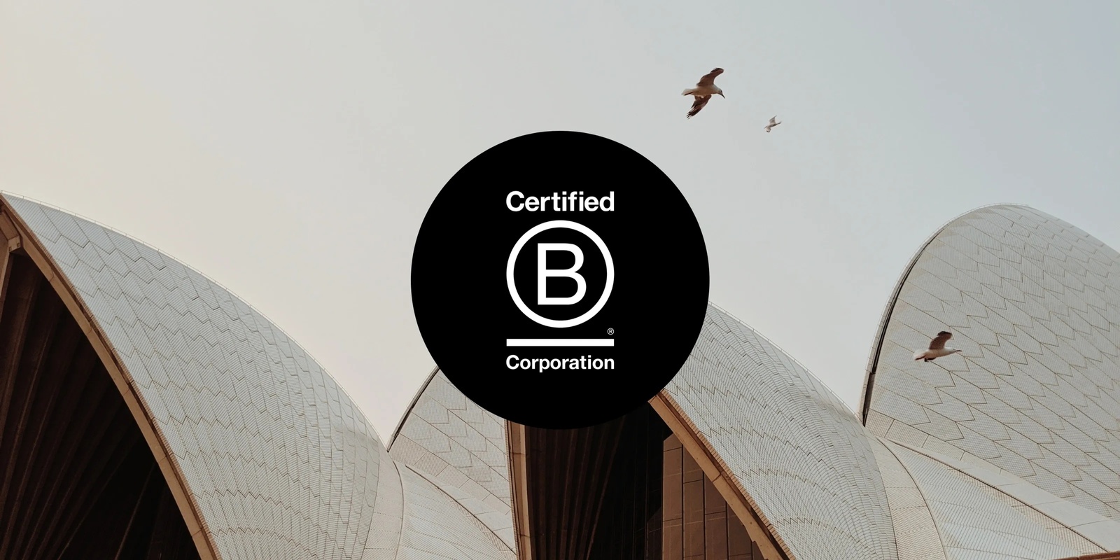 Banner image for End of B Corp Month - Sydney Meetup