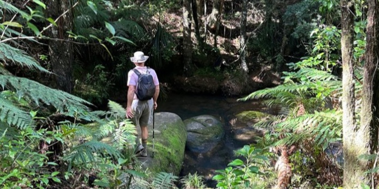 Banner image for Fallen Tree Bush Walk