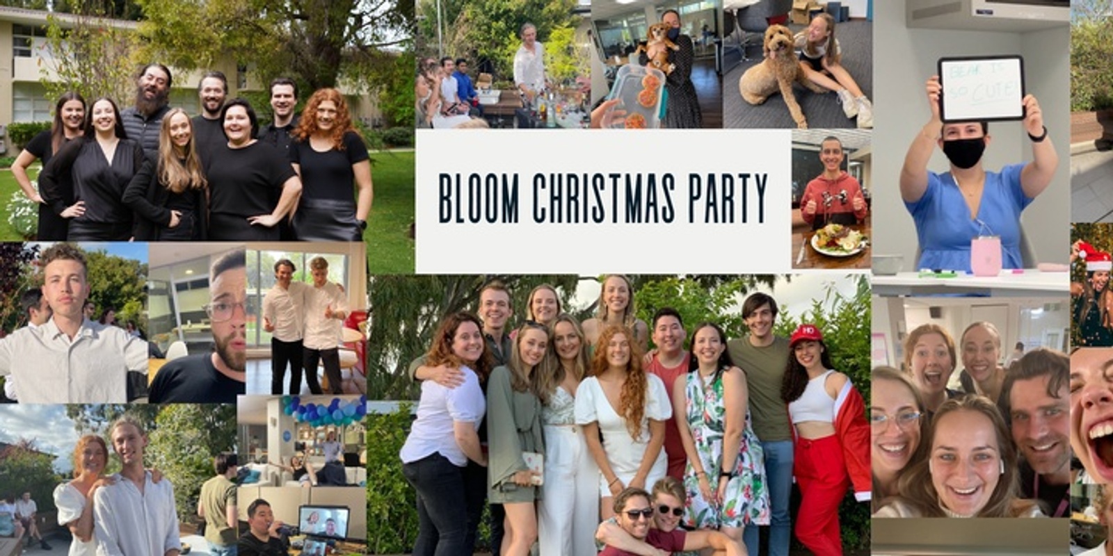 Banner image for Bloom Christmas Party 2023