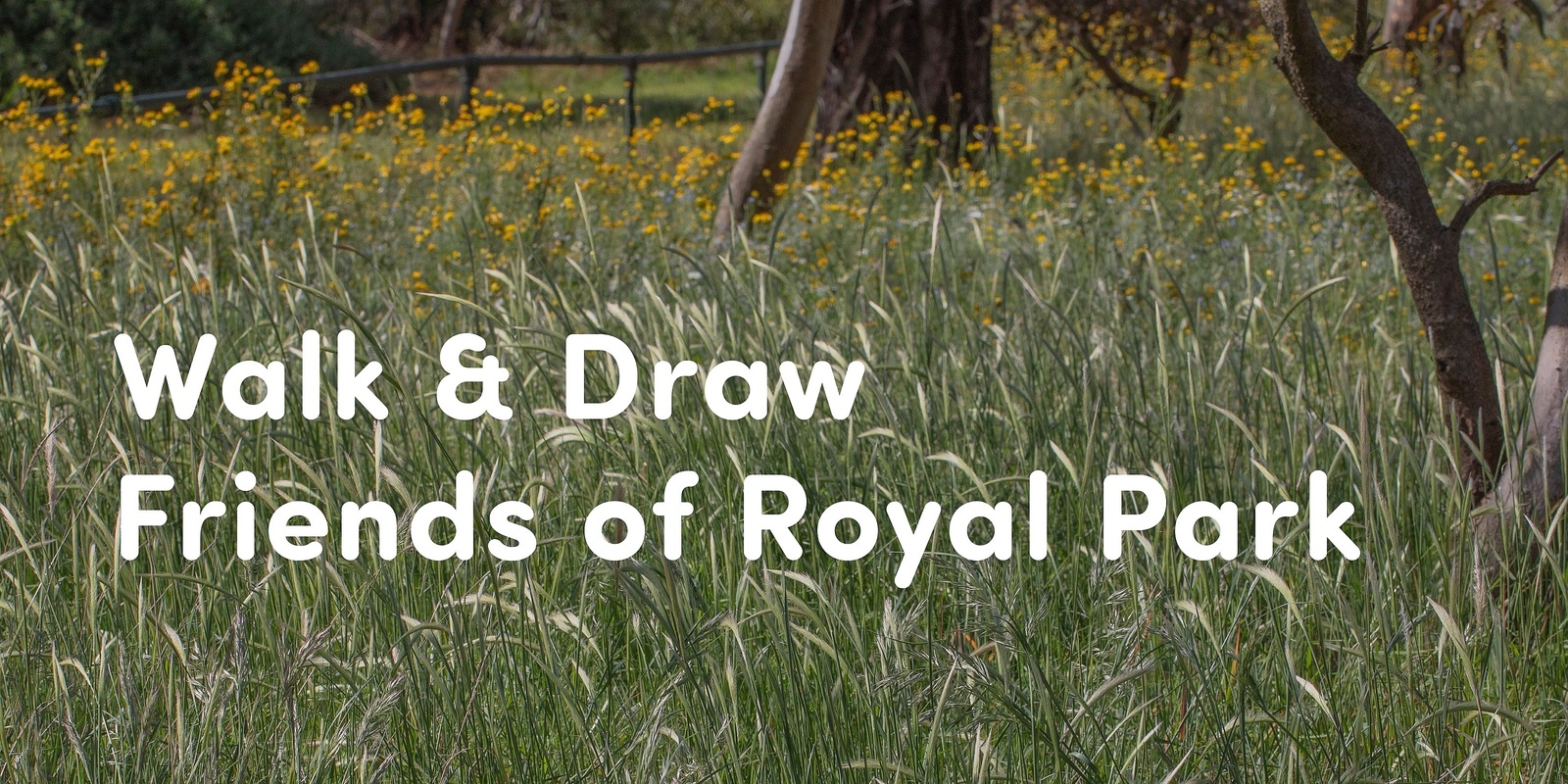 Banner image for Walk & Draw 🌿 Friends of Royal Park