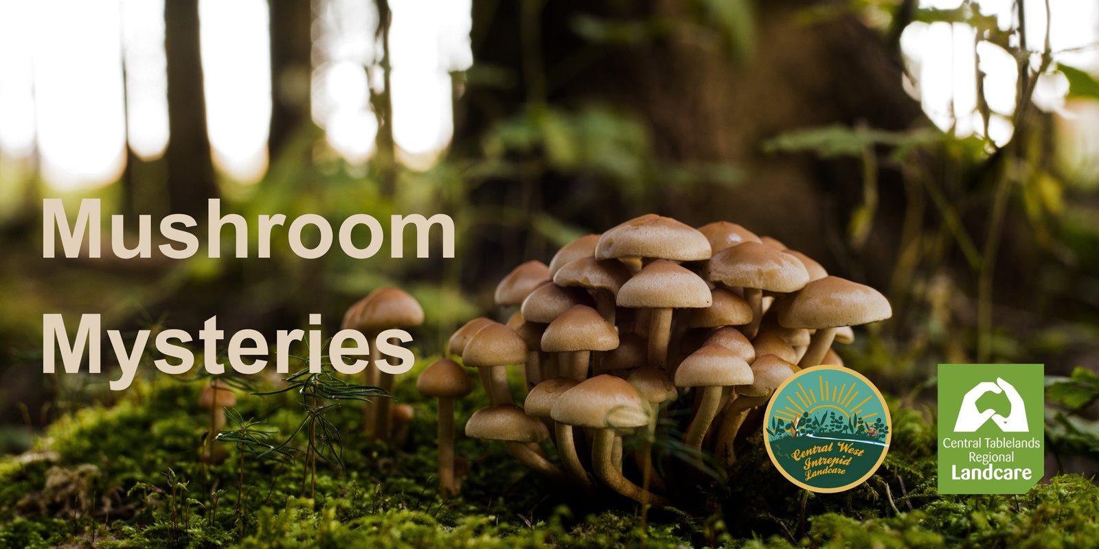 Banner image for The Mushroom Mysteries: A Fungi Whodunit