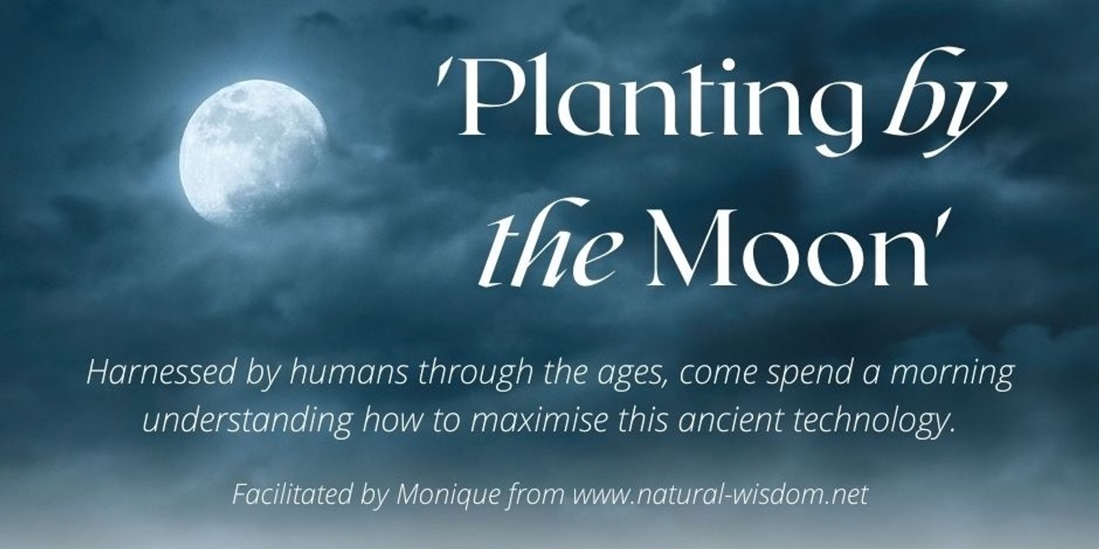 Planting by the Moon 