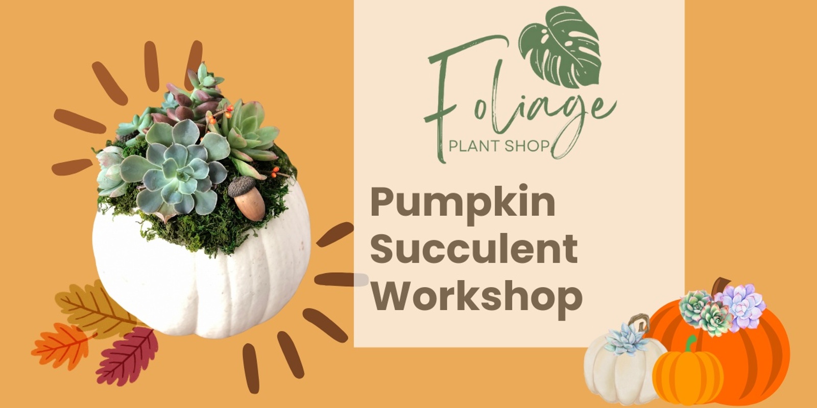 Banner image for Pumpkin Succulent Arrangement Workshop