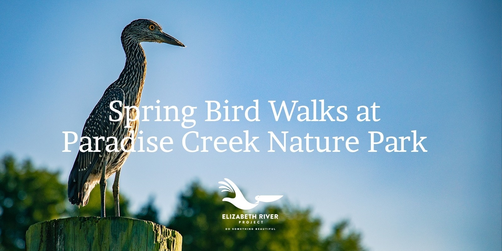 Banner image for Spring Bird Walks at Paradise Creek Nature Park