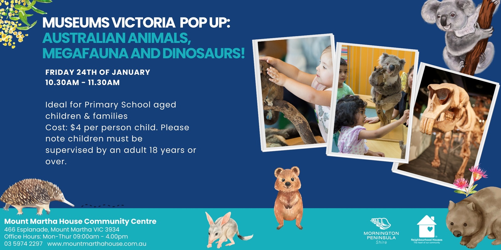 Banner image for Pop-Up Museum: Combined Australian Dinosaurs, Megafauna and Animal