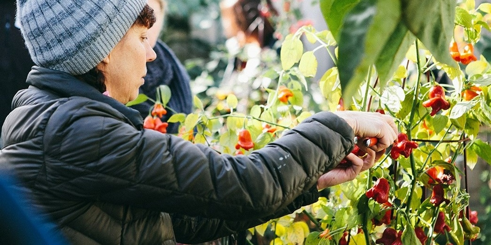 Banner image for Habitat and biodiversity gardening