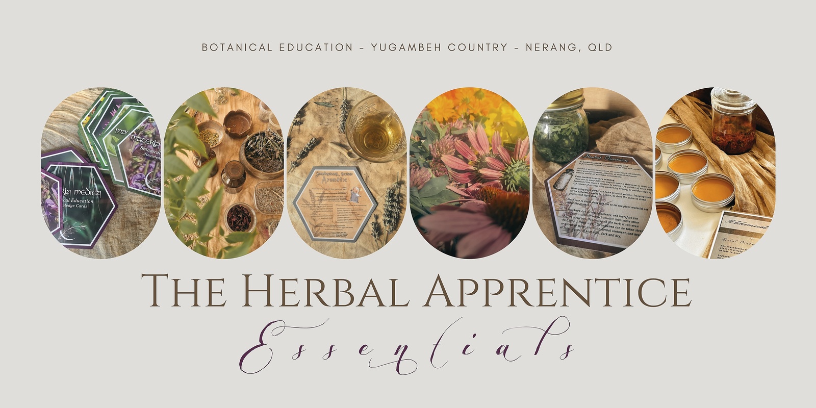 Banner image for Herbal Apprentice Essentials Class