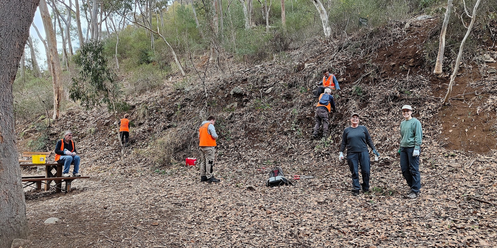 Banner image for First Falls Project habitat restoration